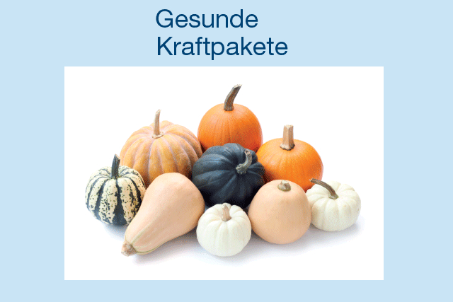 Grazer Straße 50a1